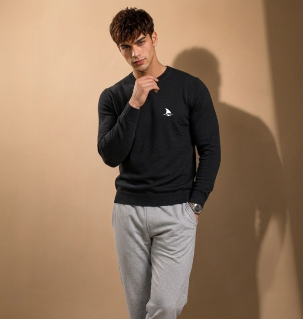 3 Cotton Fleece | Hooded Neck Full Sleeve | Regular Fit Sweatshirt